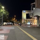 건지사거리 횡단보도 앞 | 2025.09 요코하마 - 10. 1 ~ 2일차 숙소 : 요코하마 사쿠라기쵸 워싱턴 호텔