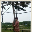 제주 아리랑 이미지