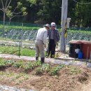 튼튼농장 이미지