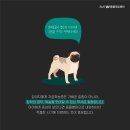 더블유동물의료센터 이미지