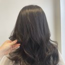 에스씨(SC) 이미지