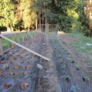 숭실농장 이미지