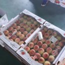 다미농원 이미지