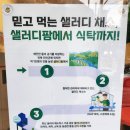 샐러디신대방삼거리역점 이미지