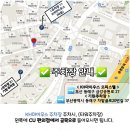 고양이무마취미용 냥지곤지 이미지