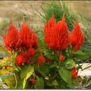 박선주농장 이미지