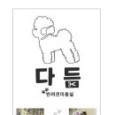 다듬다듬 이미지