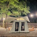 [산머루 산장] 울산 울주군 애견동반 캠핑장 찾았다! / 사이트 추천 / 물놀이 가능