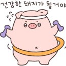 냠냠족발앤보쌈 네이버블로그