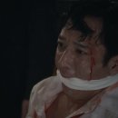 투연