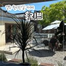 카페올리브 - 남양주시 금강로1576번길 7 | 경주 황리단길 카페 "올리브" 감성 분위기 디저트 맛집 내돈내산 후기!