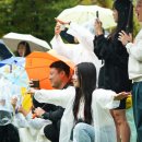 소망유치원 이미지