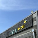 어뮤즈퍼피 | 천안애견카페 어뮤즈퍼피, 견생 첫 강아지 놀이터 후기