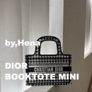 하운즈 | 디올 북토트 하운즈투스 미니 리뷰 사용후기 구매정보 착샷