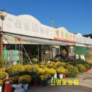 신영농원 이미지