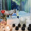 향유옥합아로마스쿨 | [용럼버스는 향린이]스웨덴 니치향수 바이레도(BYREDO) 향수 추천 1탄 - 블랑쉬(blanche)/신상품 데...