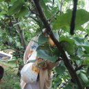 상록어린이집 이미지