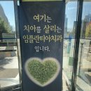 임플란티아치과의원 | [치과기록] 3n살도 사랑니 뽑나요?