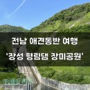 평림 | 전남 애견동반 &#39;장성 평림댐 장미공원&#39; 무료 / 피크닉 가능 ♥