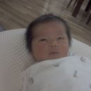 준우 Daum카페