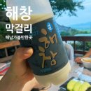 해창 | 해남 여행에서 만난 특별한 전통주,해창막걸리 후기&amp;구매방법