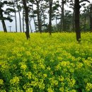 예산농장 이미지