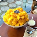 배*두 | 아산신정호빙수맛집 좋은아침페스츄리 신정호수점 망고두배빙수 후기
