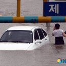 온천천일대7 이미지