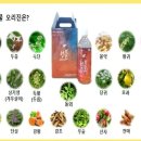 닥터키드니
