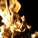 재홍농장 이미지