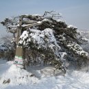 태백 얼음 축재 눈산행 예약종료 이미지