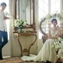 세븐네이쳐 이미지