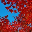 창녕화왕산 그린펜션 | 단체숙박이 가능한창녕펜션