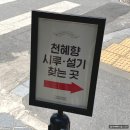 황토시루 | 🎂4월 말 성심당 주말 웨이팅, 신상 빵과 케이크 라인업(망고시루, 과일시루, 천혜향5.0, 레몬돌돌)❤️‍🔥