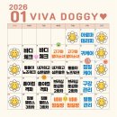 비바 | 구미애견유치원 비바도기 후기