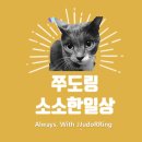 돈찌앤순두부 이미지