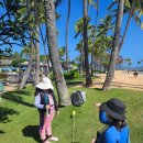 카할라 | 🐬하와이 카할라 호텔 돌핀퀘스트 키즈 후기｜씨라이프파크 비교 후 선택한 이유 (돌고래 체험 추천)