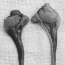 덕정동물의료센터 이미지