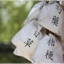 365백세부부한의원 이미지