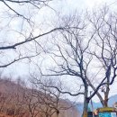완주 편백숲 관광안내소 | 완주 공기마을 상관편백숲 입구 주차장 상관리조트사우나