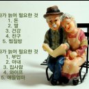 여별 Daum카페