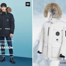 에이치16 이미지