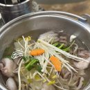 달아래행복 | #. 177 월미도 데이트 코스 웨이팅해서 먹는 월미도 웨이팅 맛집 [달쭈꾸미 월미도 본점] 후기