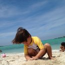 여름. 제주 이미지