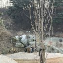 그로브동산 이미지
