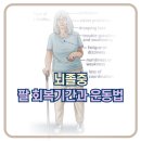 제주도 2026여름일기 3. 감통과 재활사이 이미지