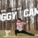 땅끝황토나라테마촌 이미지