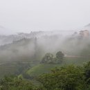 은곡다원 이미지