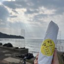 [제주환상자전거길 #04] 자린이의 제주 자전거 일주_3일차