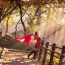 11월6일 인천대공원 아침출사 (웃음백배진행) 이미지